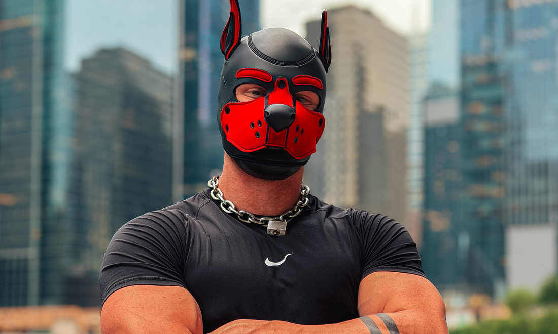 Pup Play 101