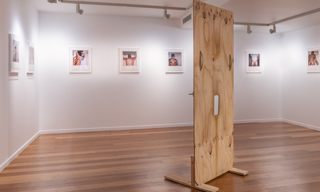 The Suckatorium: Confessions of a Cock Whisperer