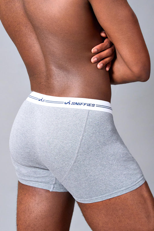 Sniffies Boxer Brief - Grey